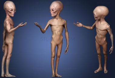 3D model Grey Alien (STL)